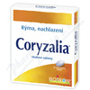 Coryzalia drg. 40
