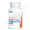 Alavis MSM+Glukosamin sulft pro psy tbl. 60